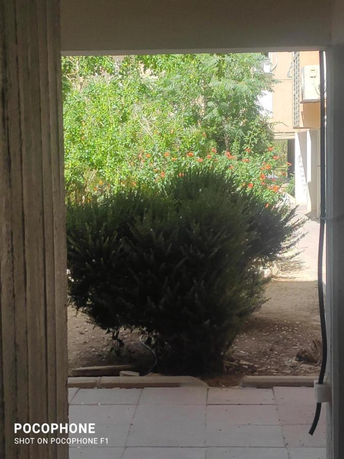 סוויטה של אלון Apartman Arad Kültér fotó